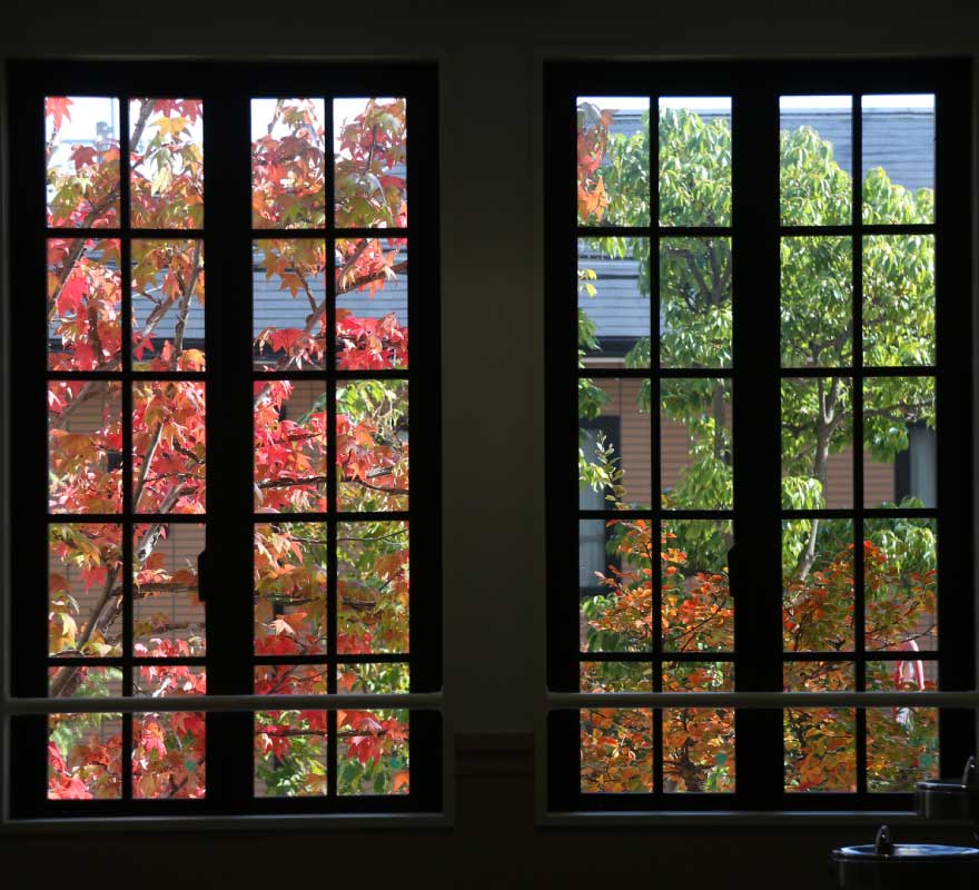 ガラス越しの紅葉は少し柔らかな色合い 店内でゆったりと窓越しの紅葉を楽しむ